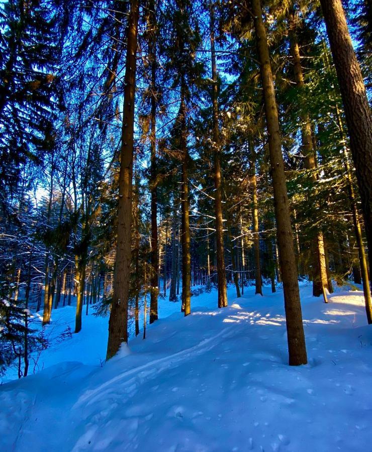 Apartmány Panorama Harrachov Kültér fotó