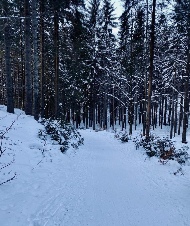 Apartmány Panorama Harrachov Kültér fotó
